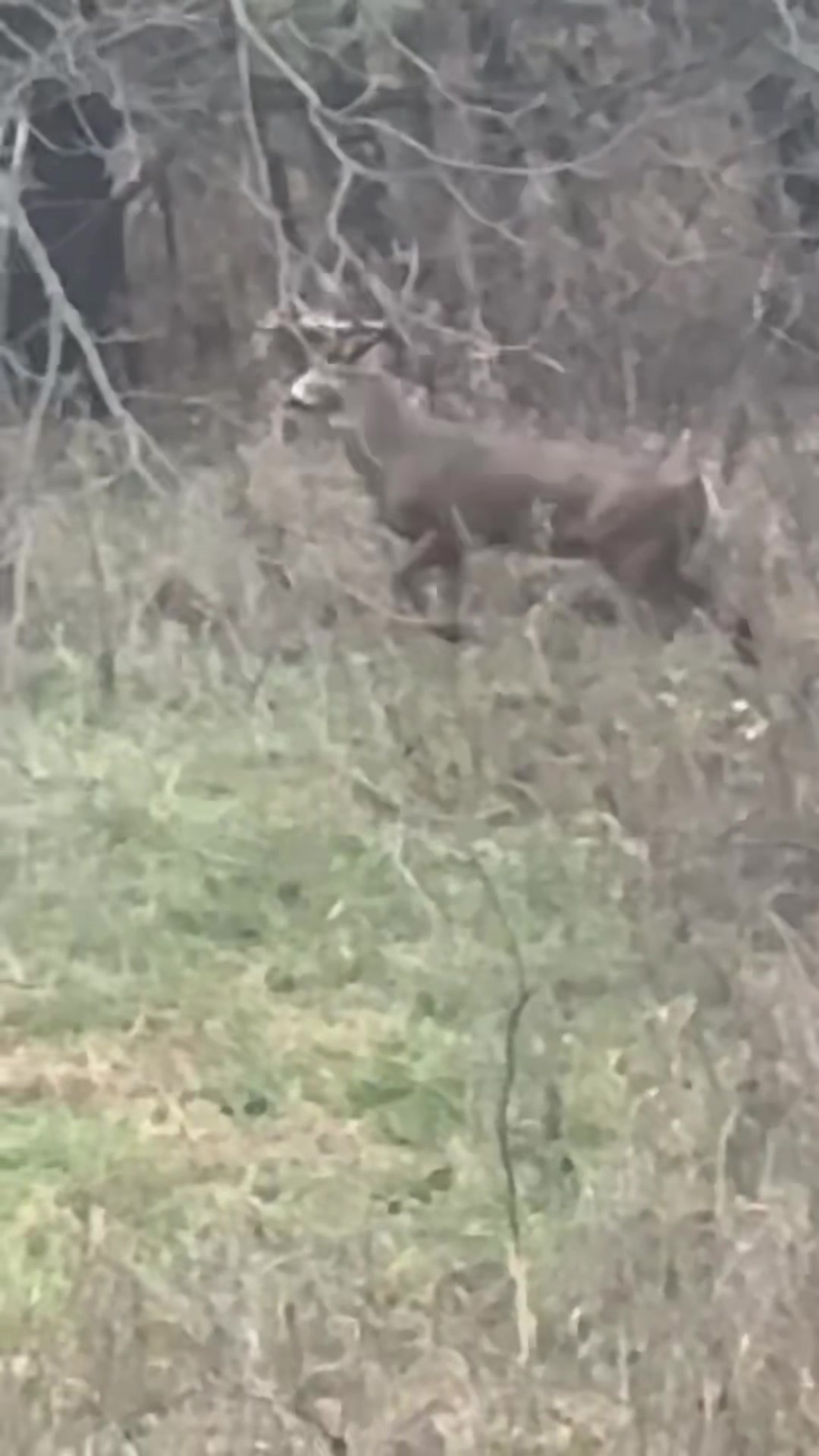 @Buckmasters Outdoors