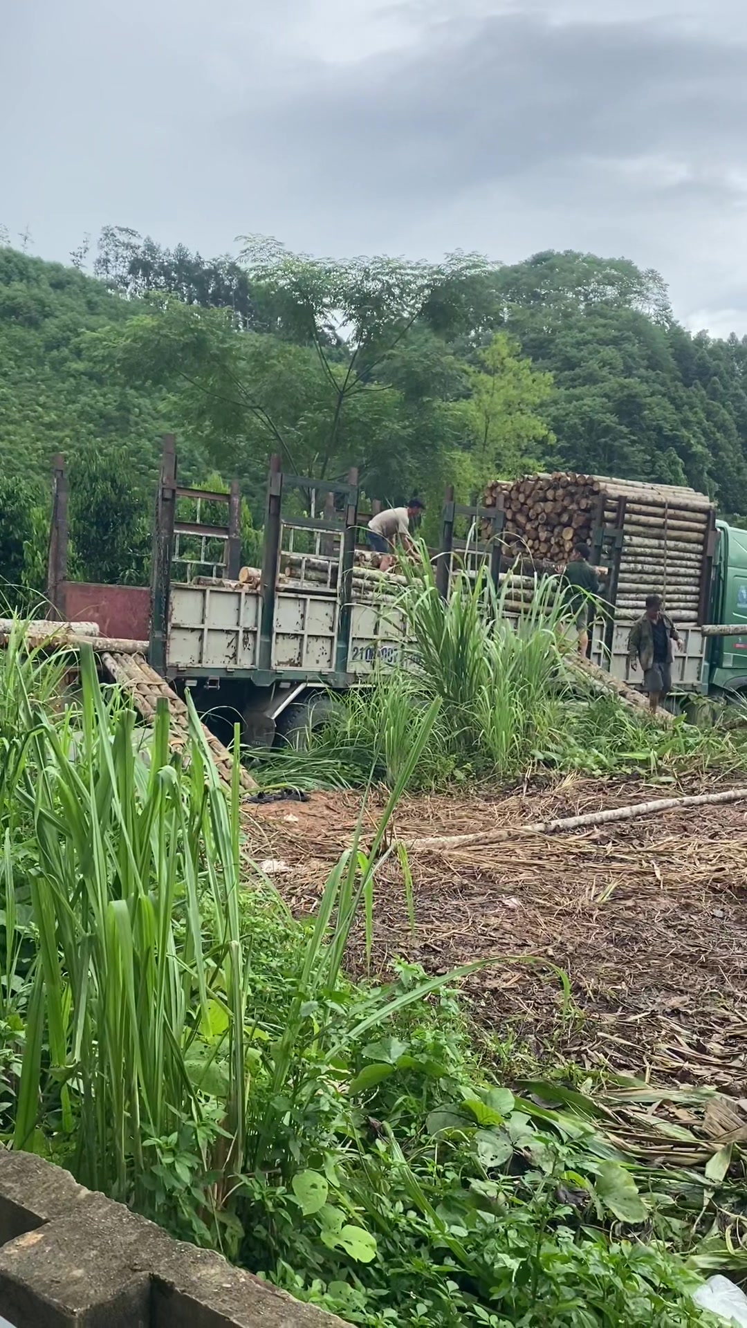 @N&ocirc;ng đức long