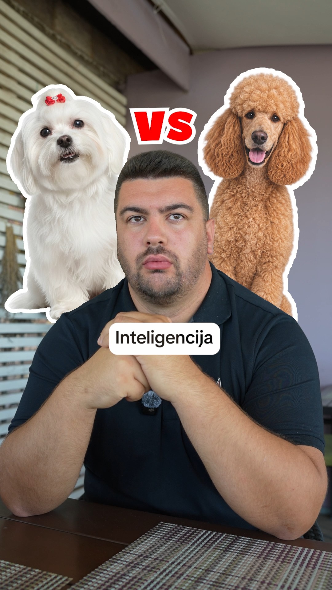 @superdog.akademija