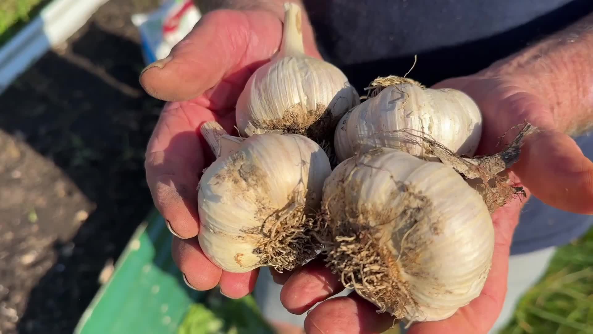 @Farmer 🧑&zwj;🌾