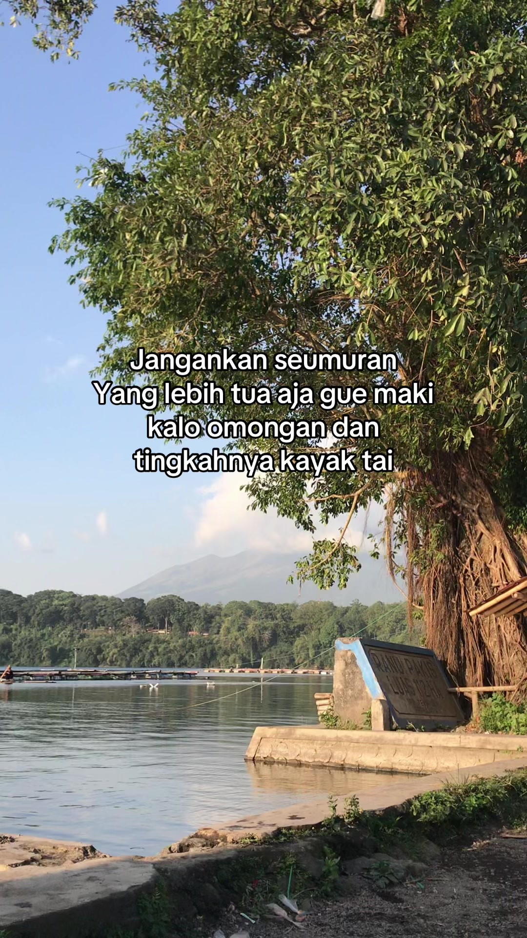 @kaktara24
