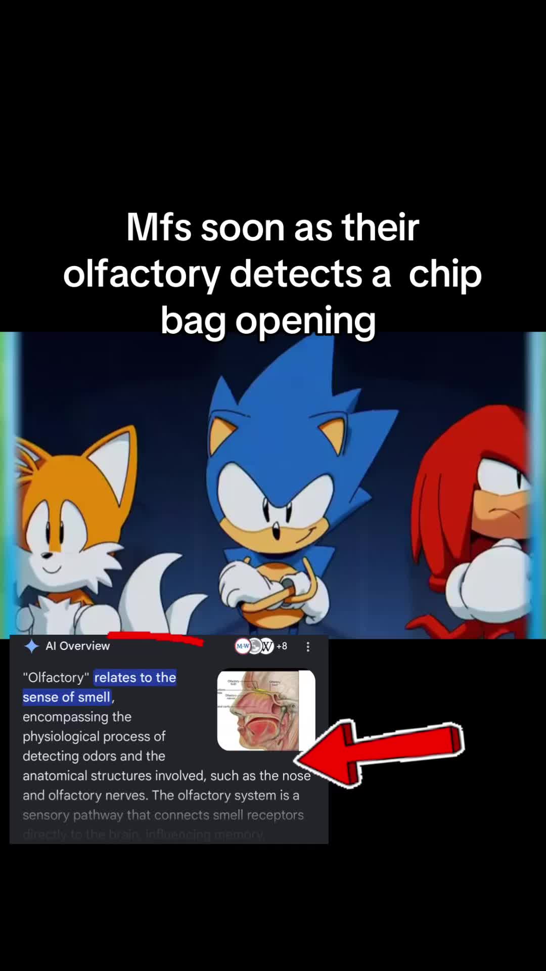 @SPEEDSTER