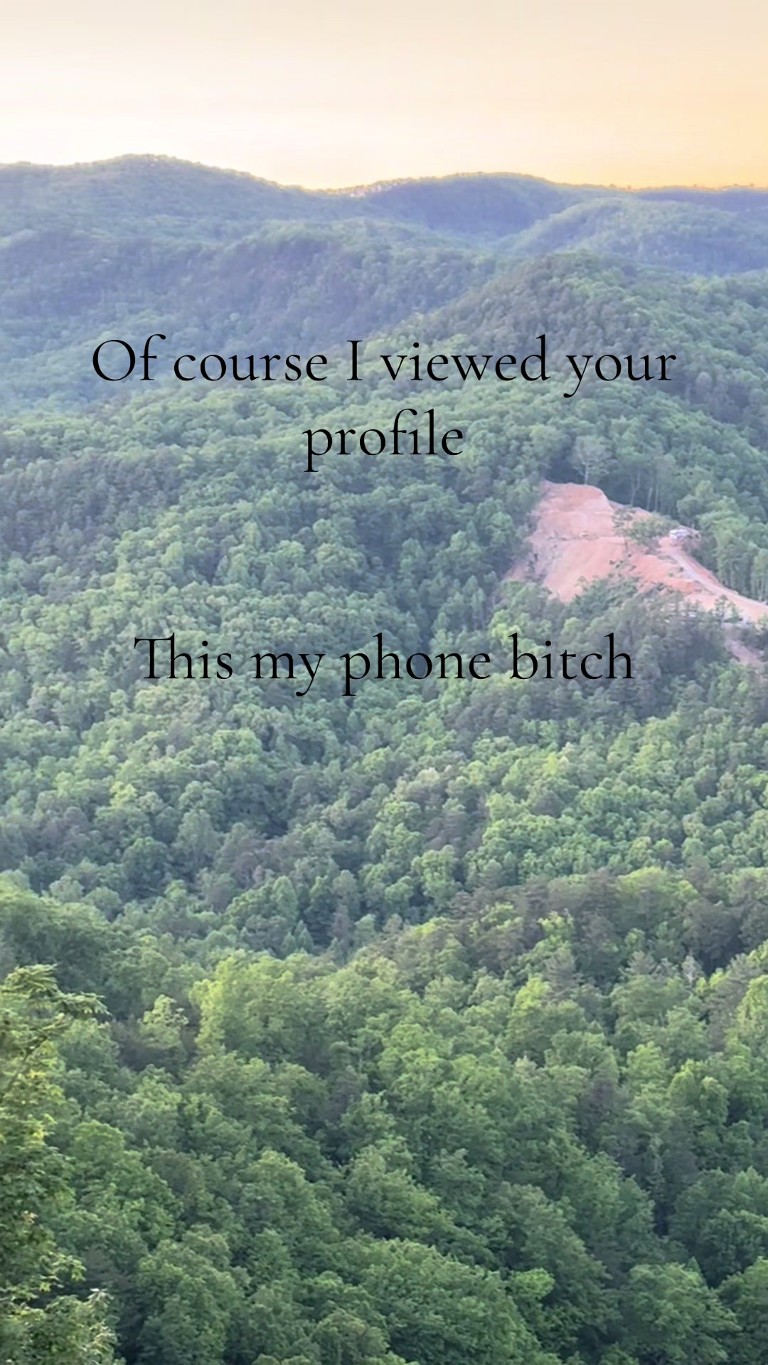 @fallopian fiddler