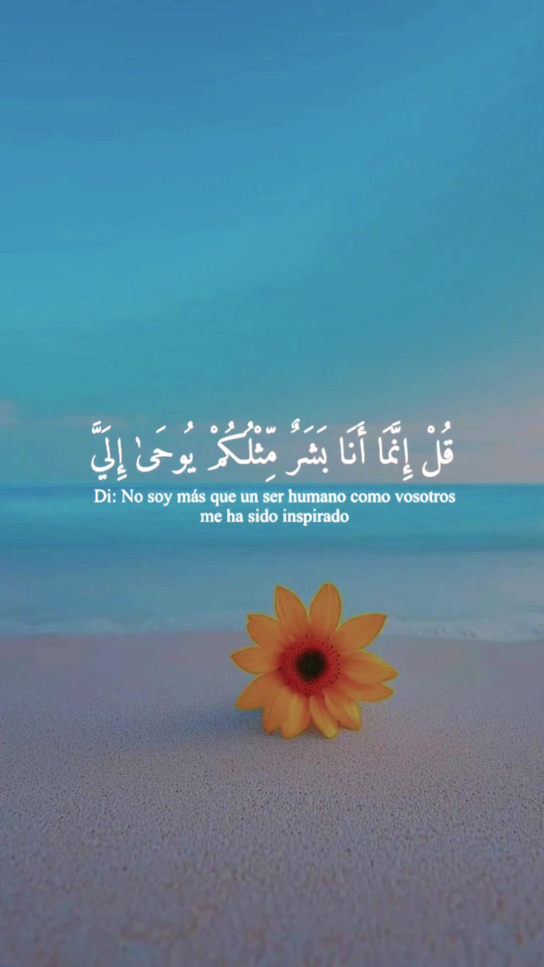 @رهف🤍🦋