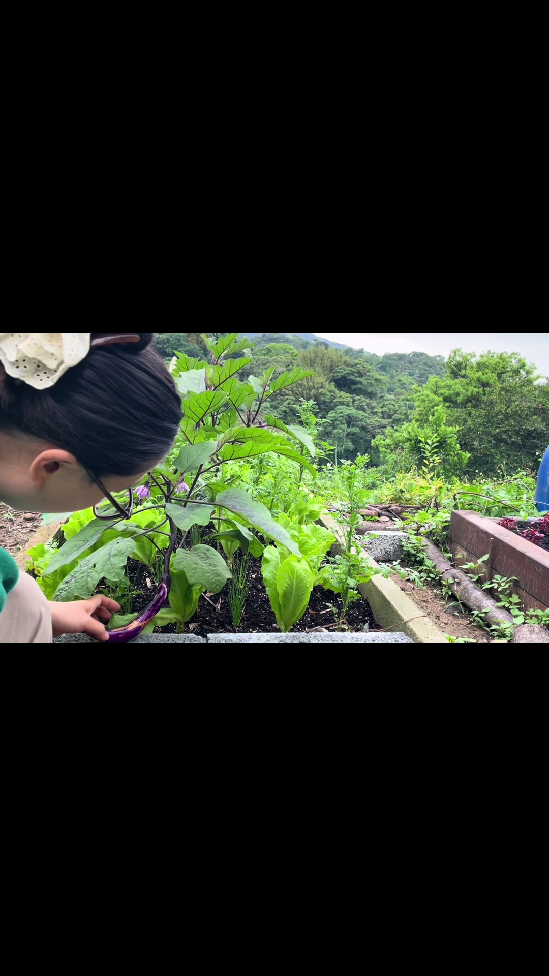@老農與白雪公主的結晶