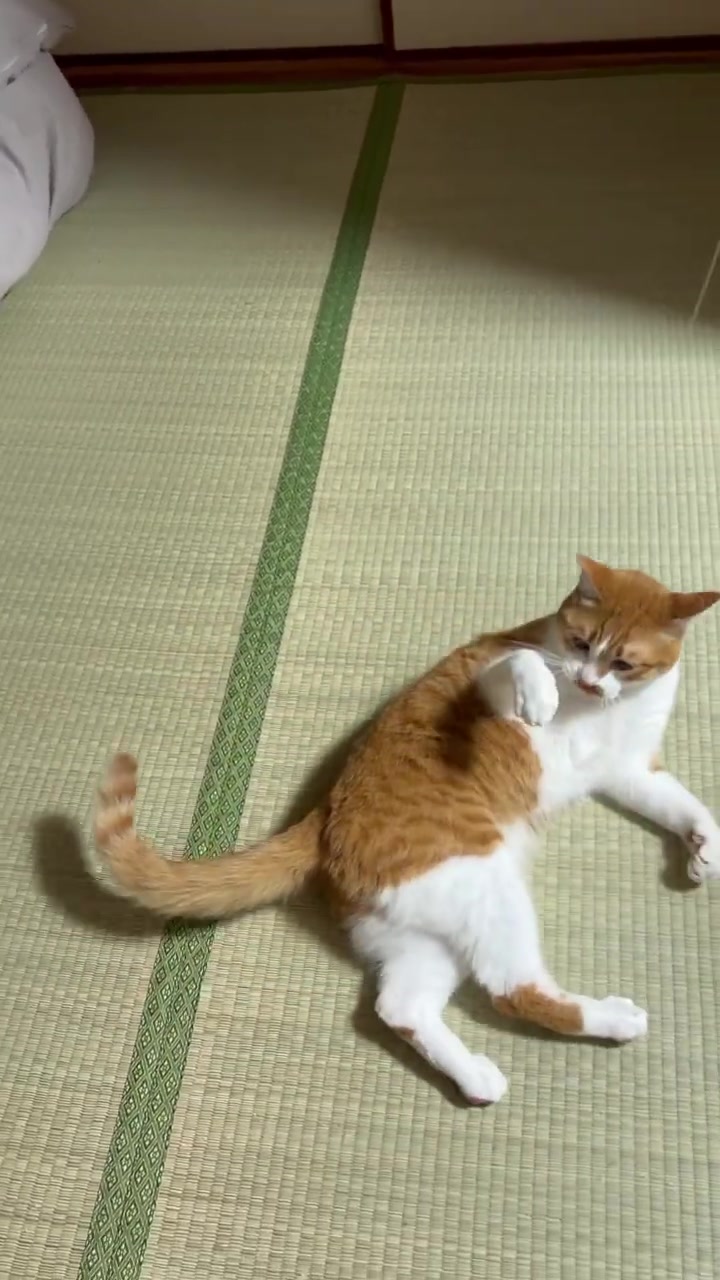 @玉次郎