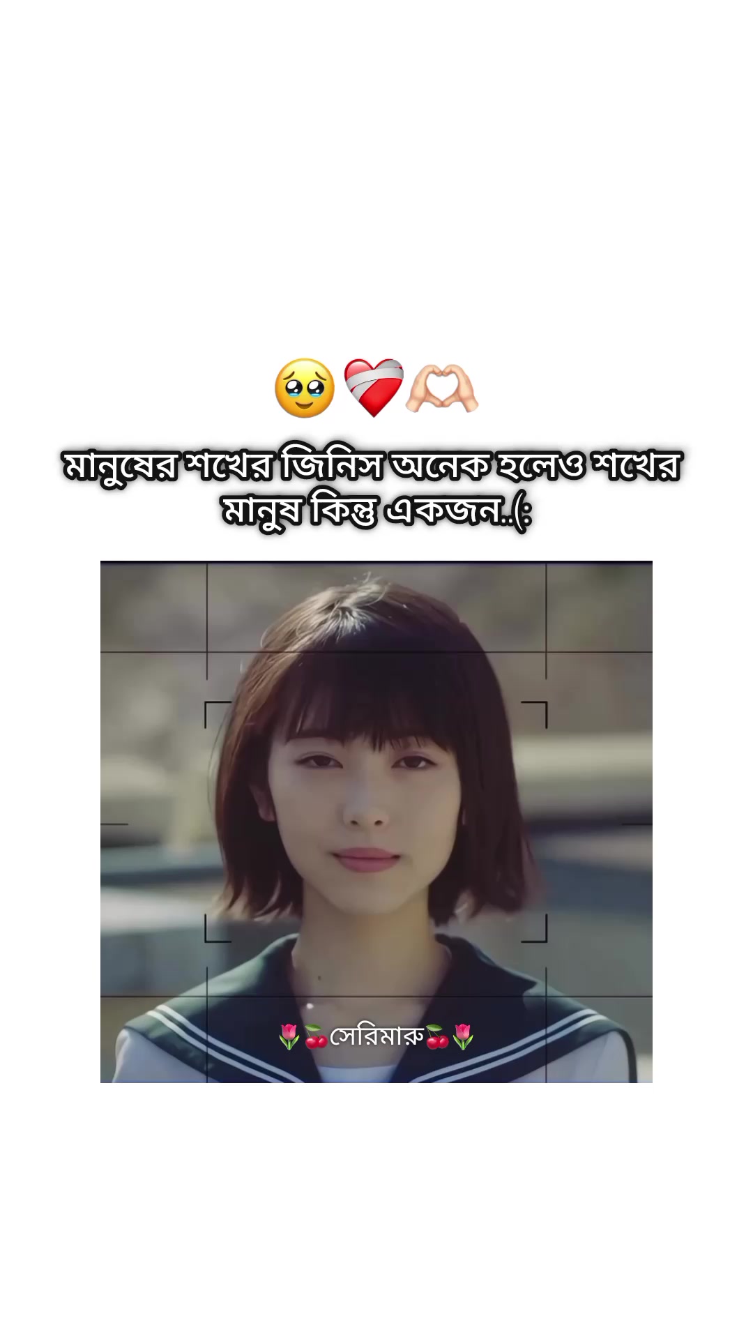 @🌷🍒সেরিমারু🍒🌷