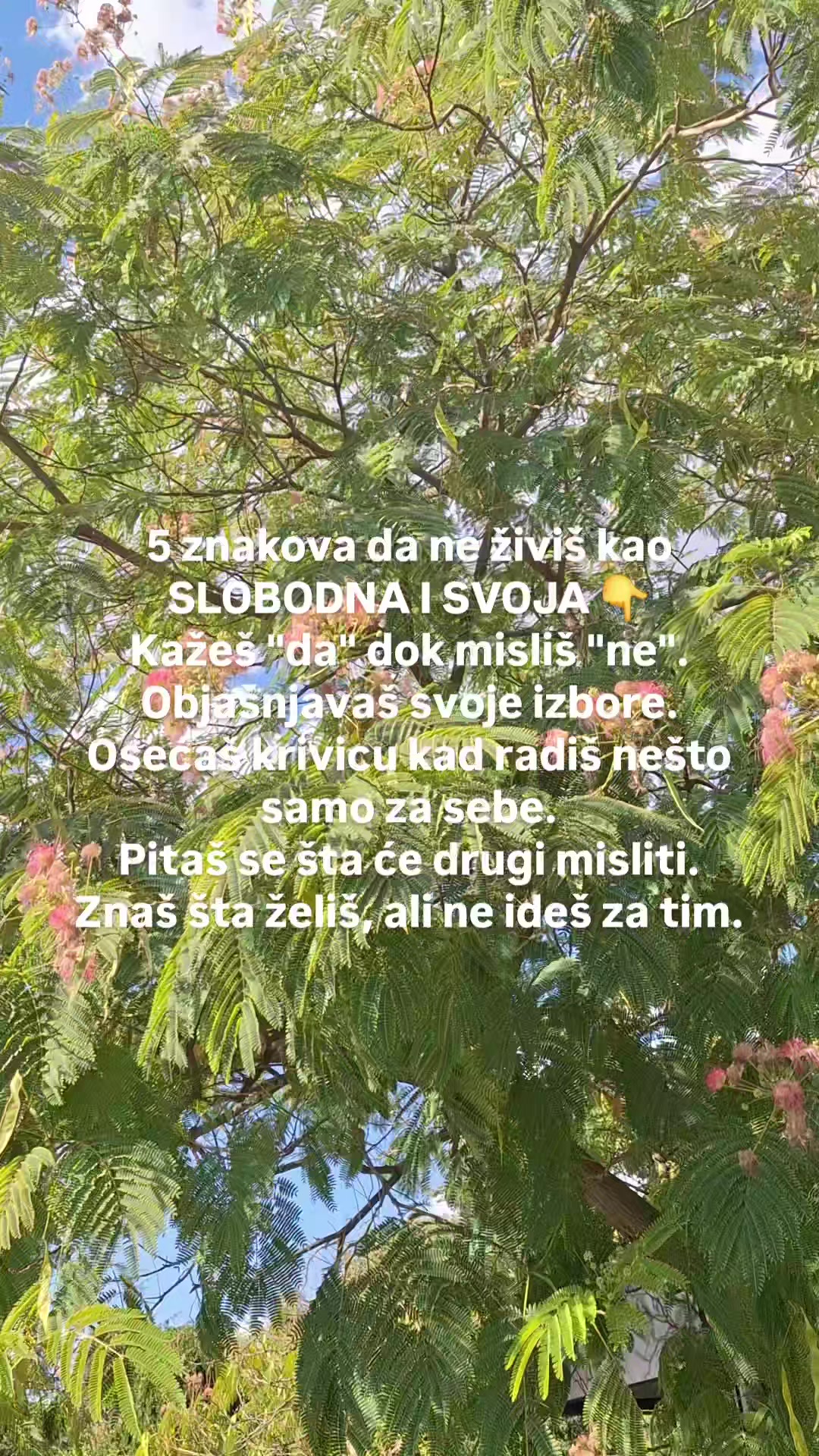 @Milka Knezevic