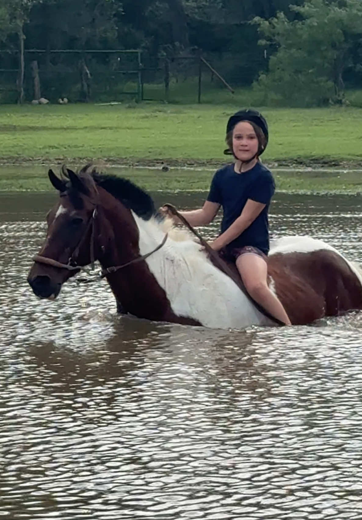 @The Gaysian cowboy