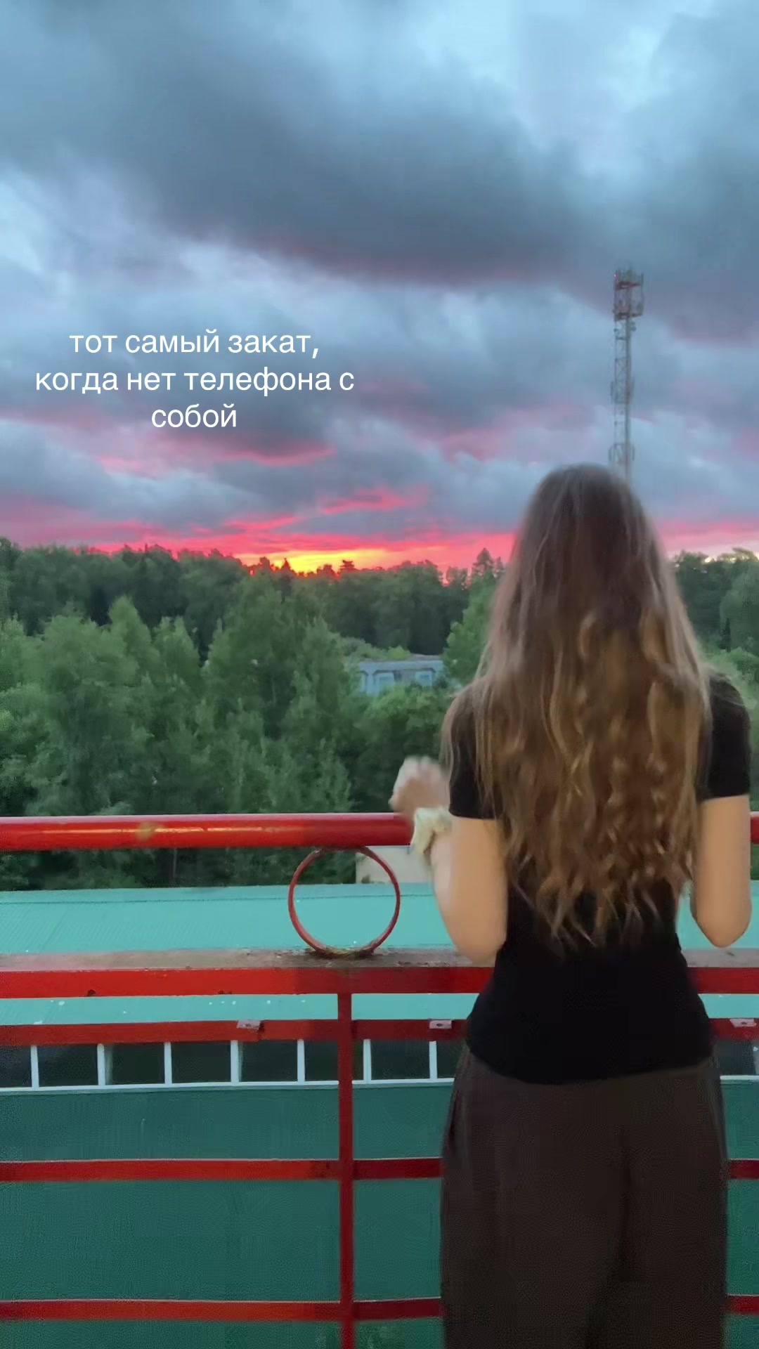@сонька🦢