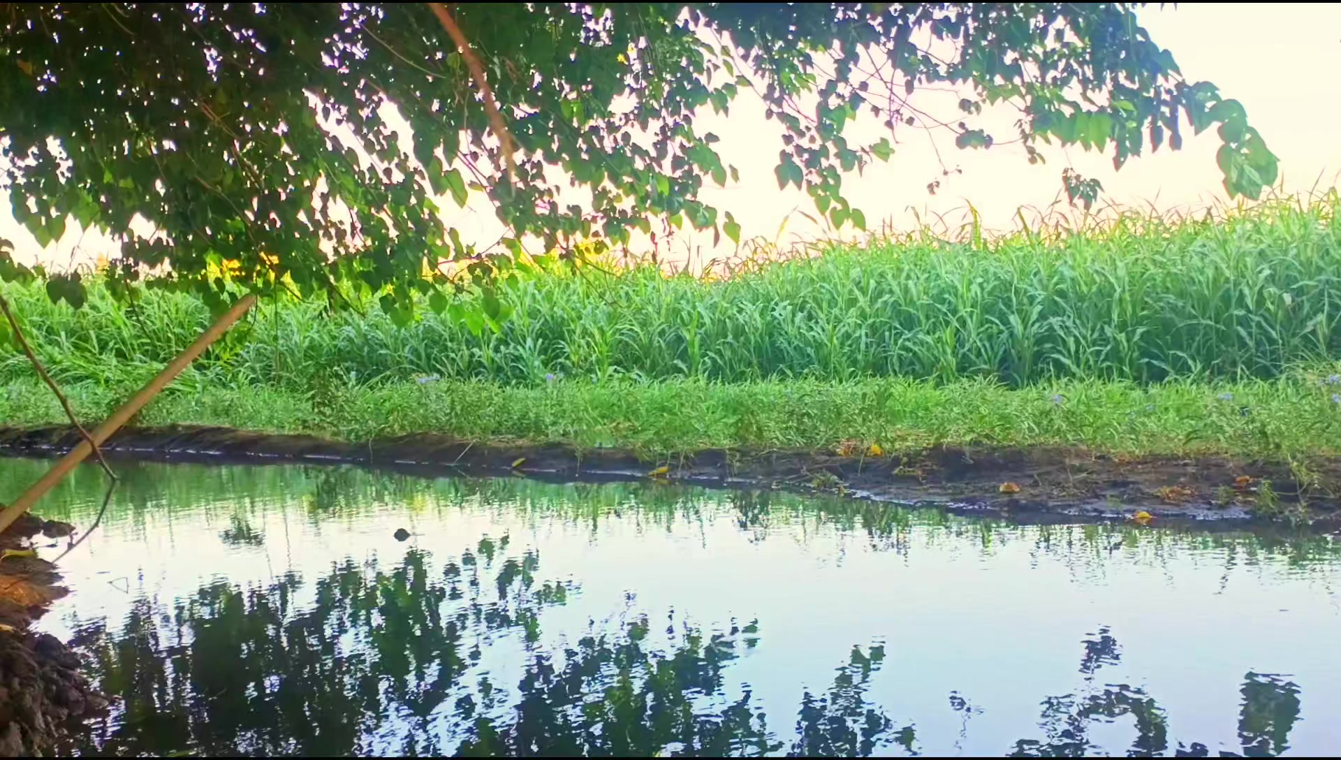 @أبِوُ صَهہيّــّبِ📸📍