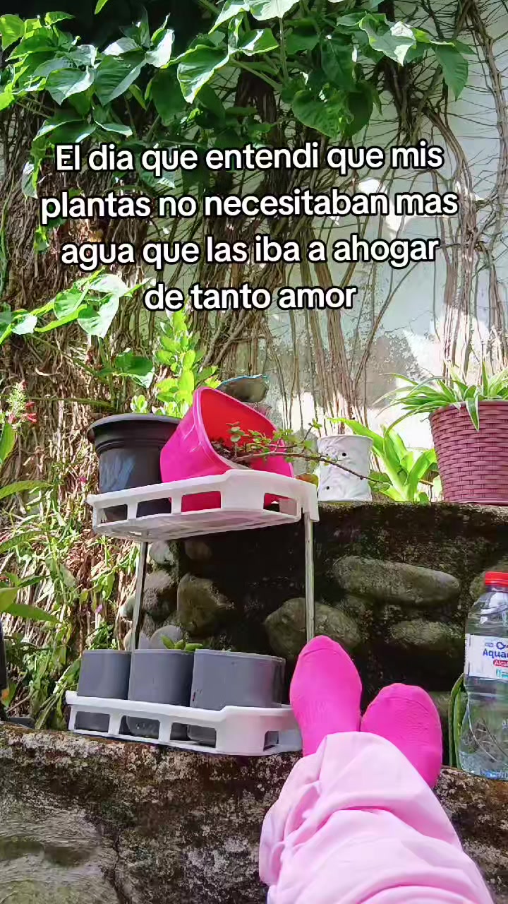 @betsyoficial