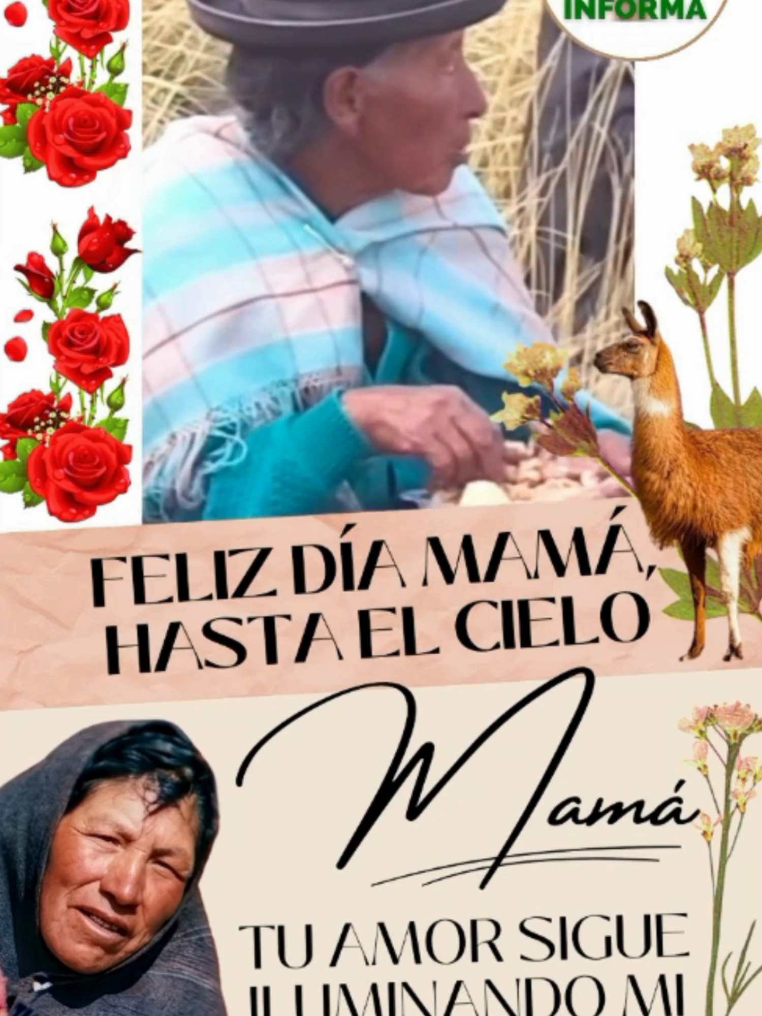 @Hilarion Bolivia Informa 🇧🇴