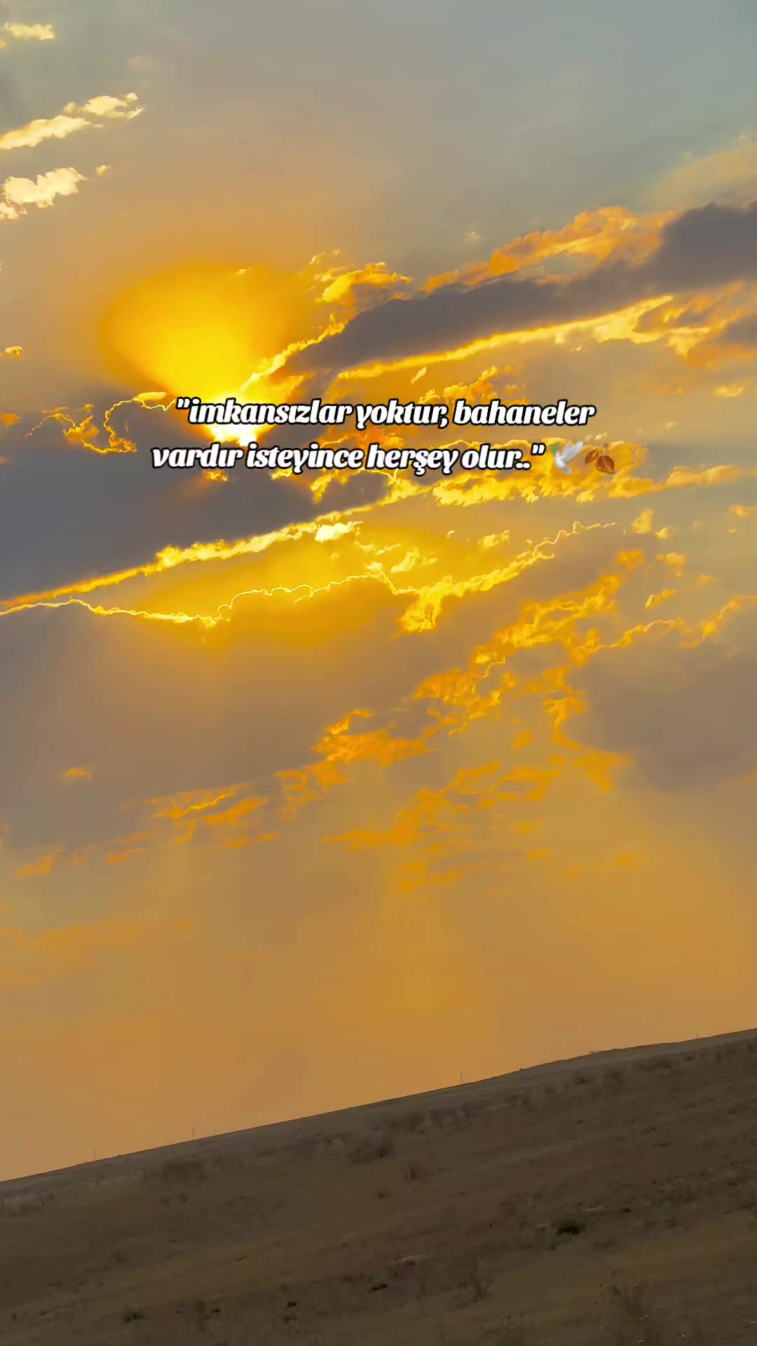 @𝐒 𝐓 𝐄 𝐑 𝐊 ✷