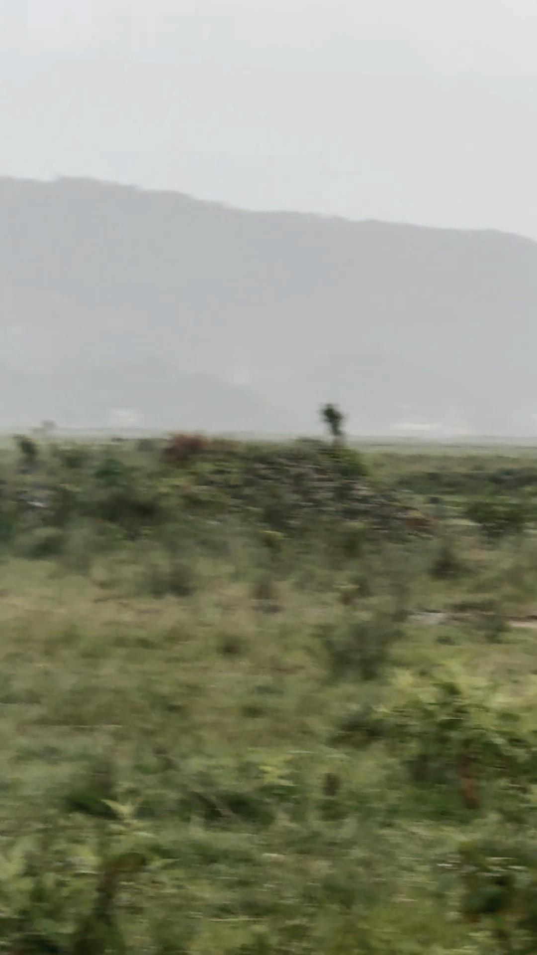 @Rajan Bhandari