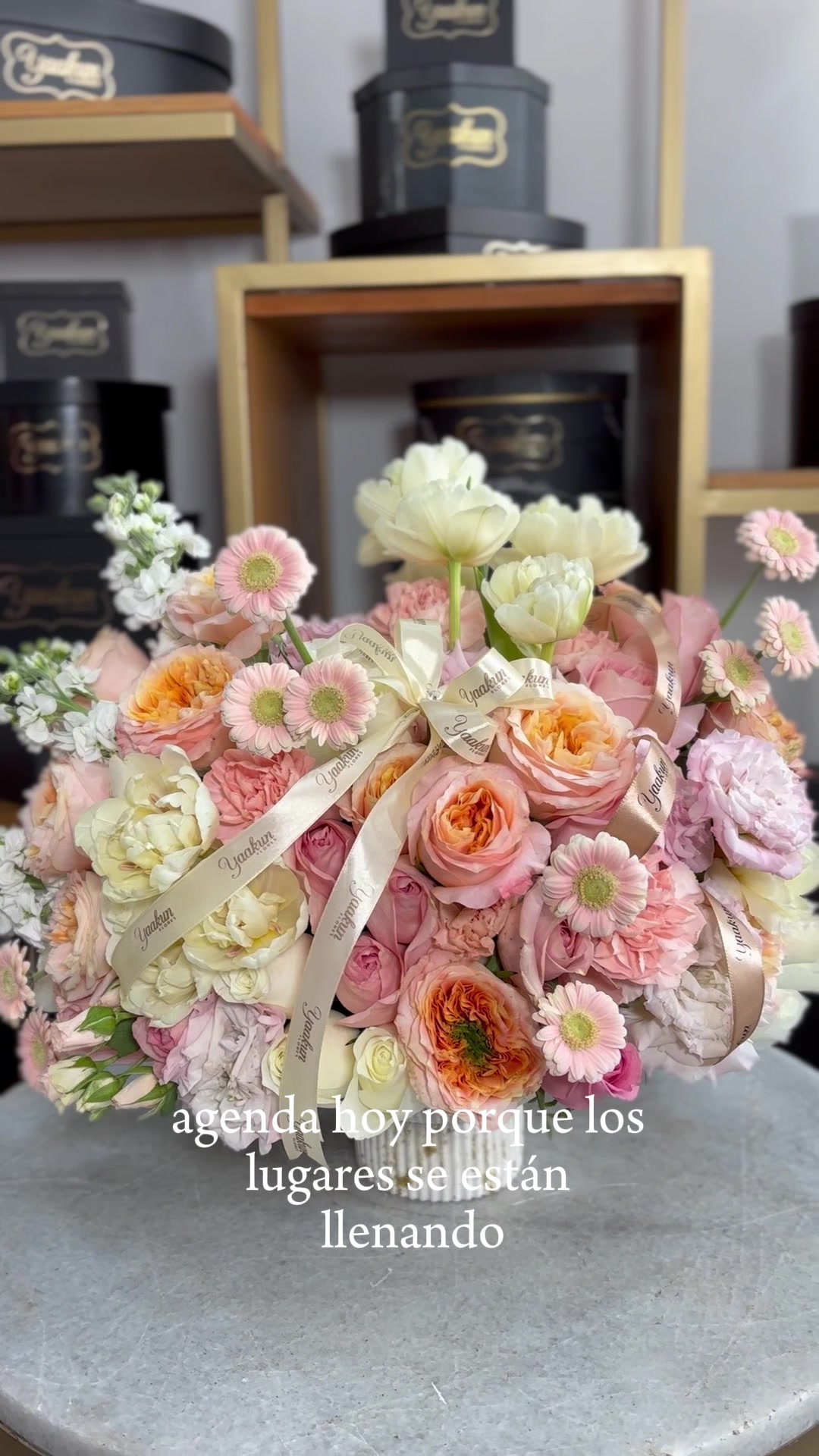@Yaakun Flores
