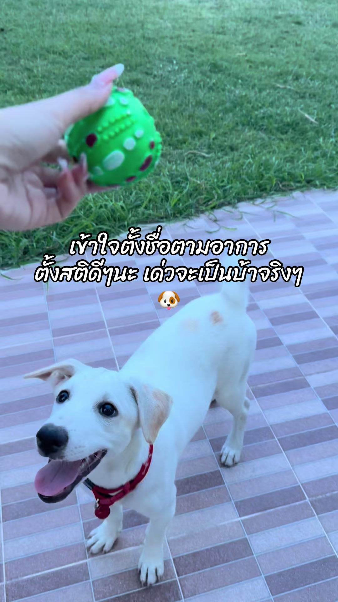 @Gx💕ที่รักว่าไงคะ