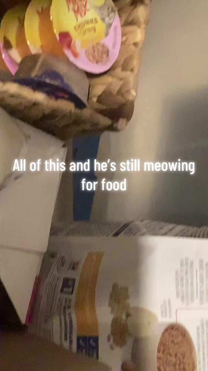 @kat_gurl
