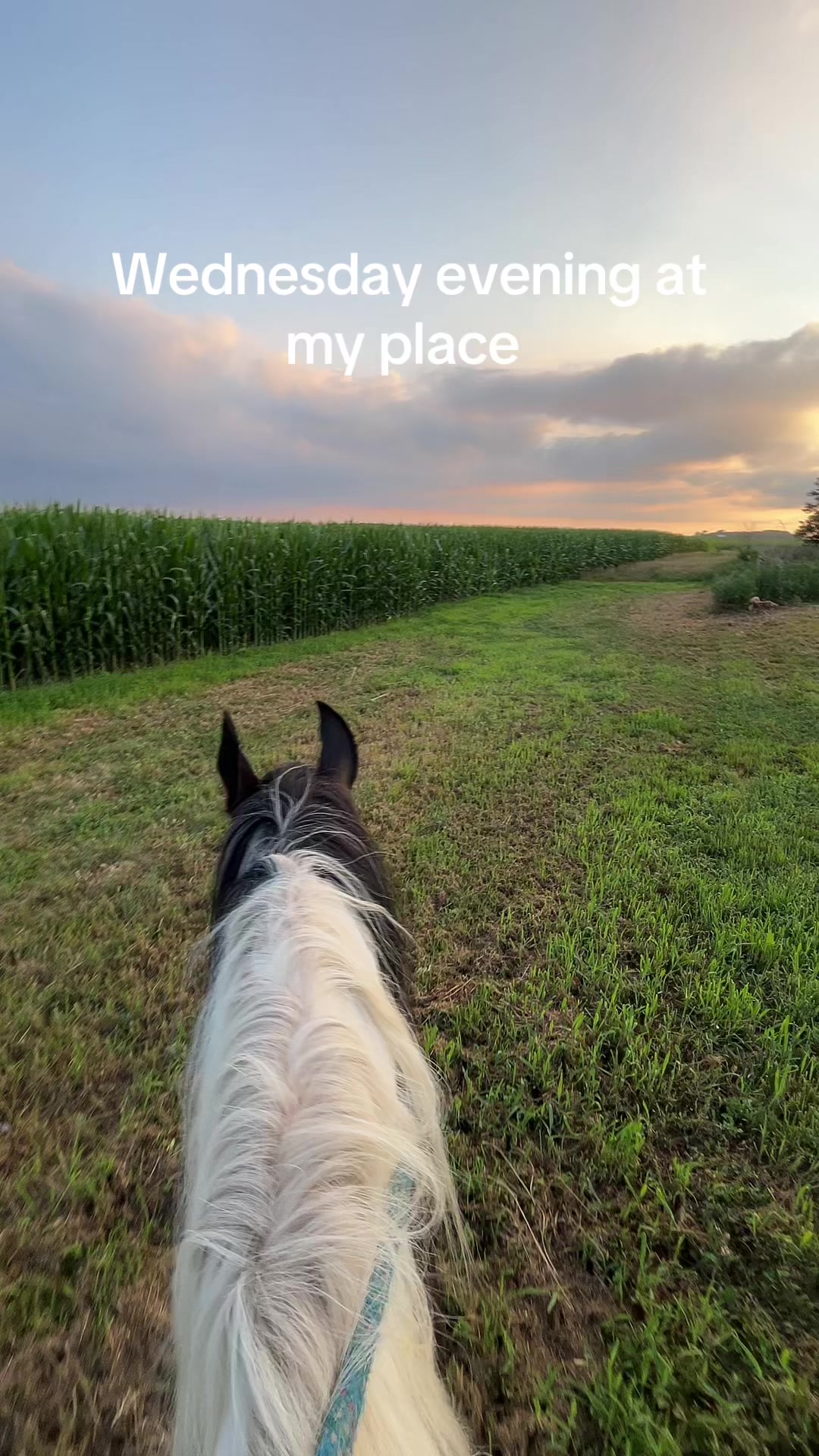 @Country living ❌
