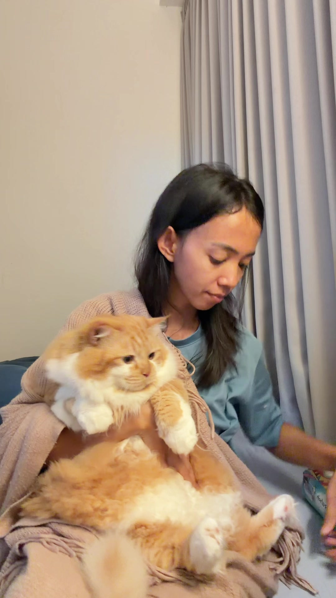@nekokeikochan