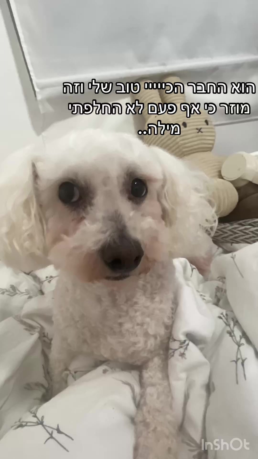 @𝓗𝓪𝓻𝓻𝔂🪬