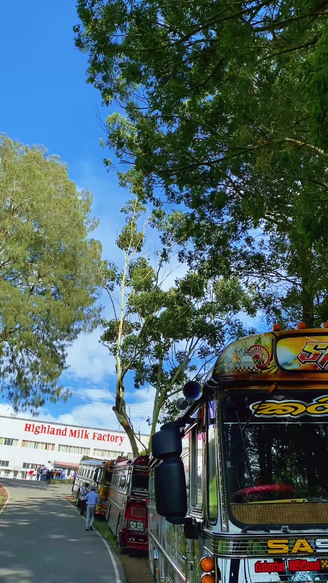 @කඩියා Bus video 🐜