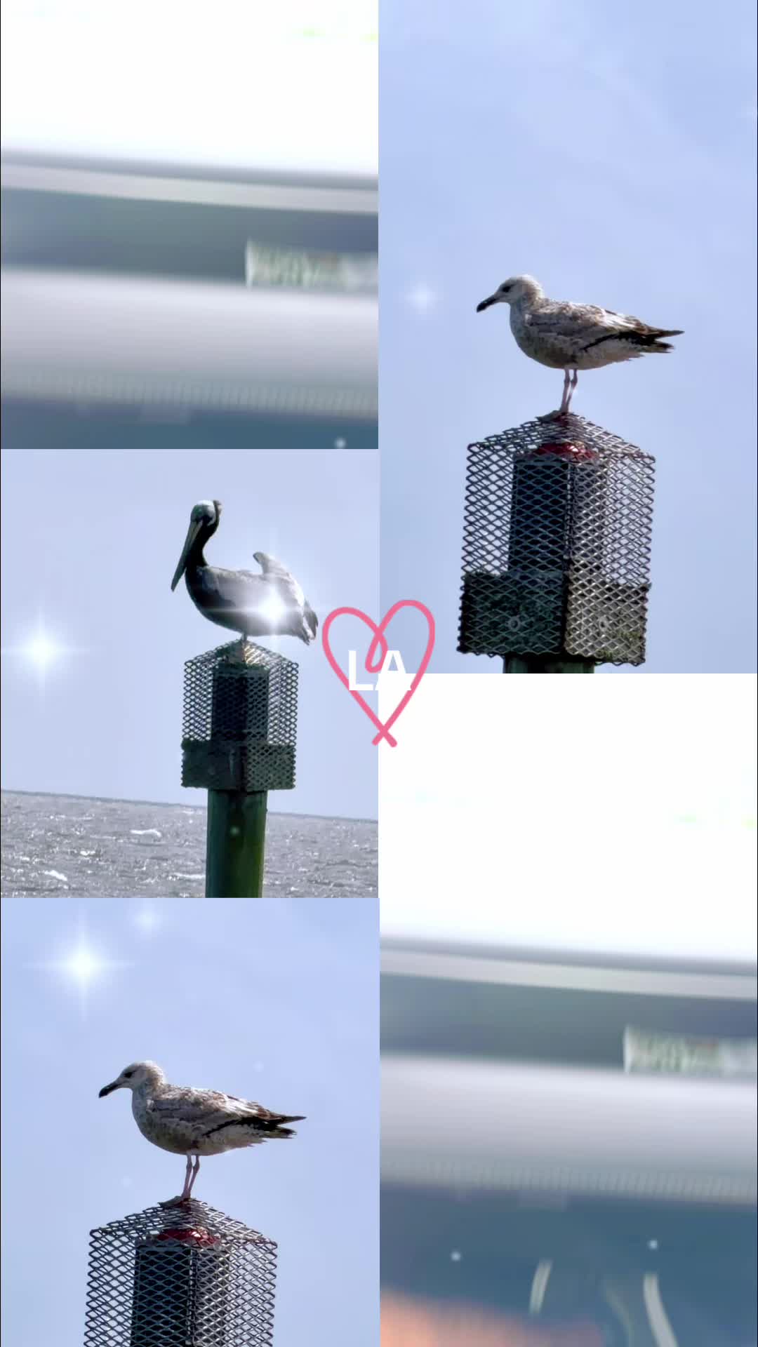 @Raghubirdada
