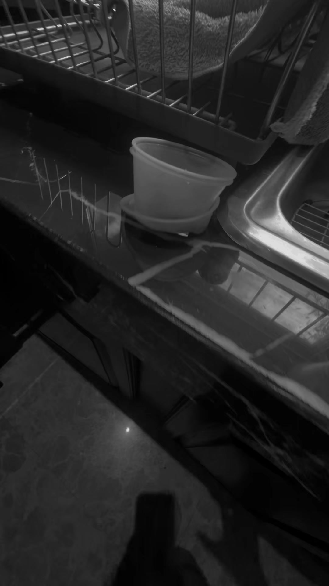 @🏖️✪꧁★jax_;3★꧂✪🏖️
