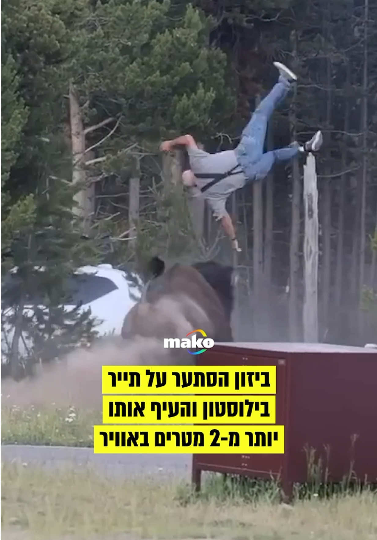 @mako