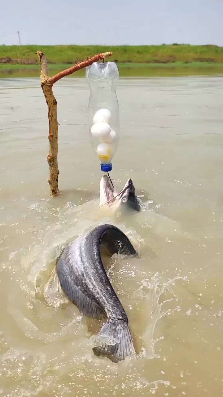 @Fishing