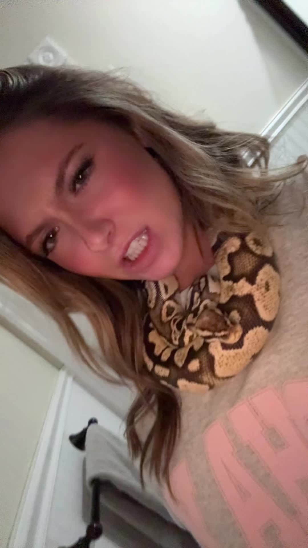 @lauren 🪽