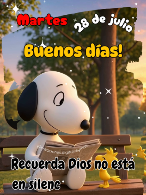 @adachajon.gt