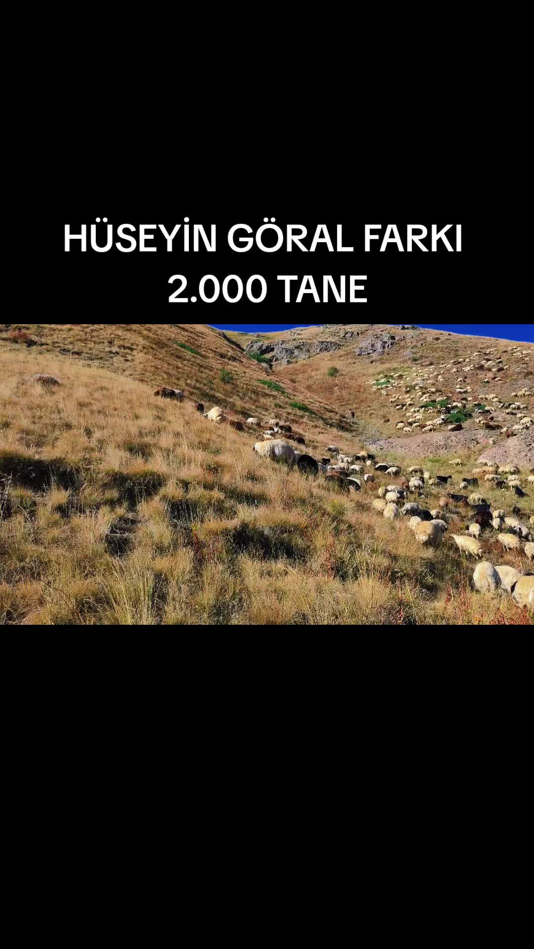 @Emrah Karapınar