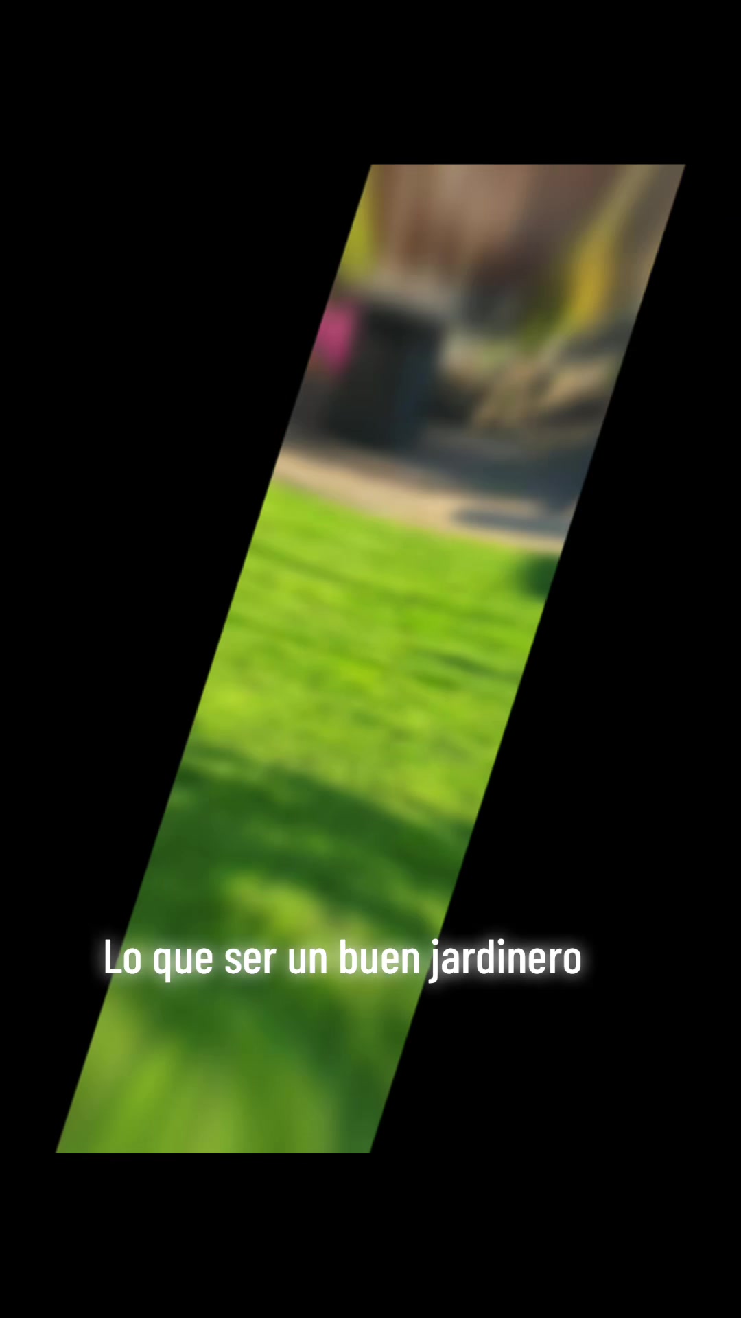 @jesustena740