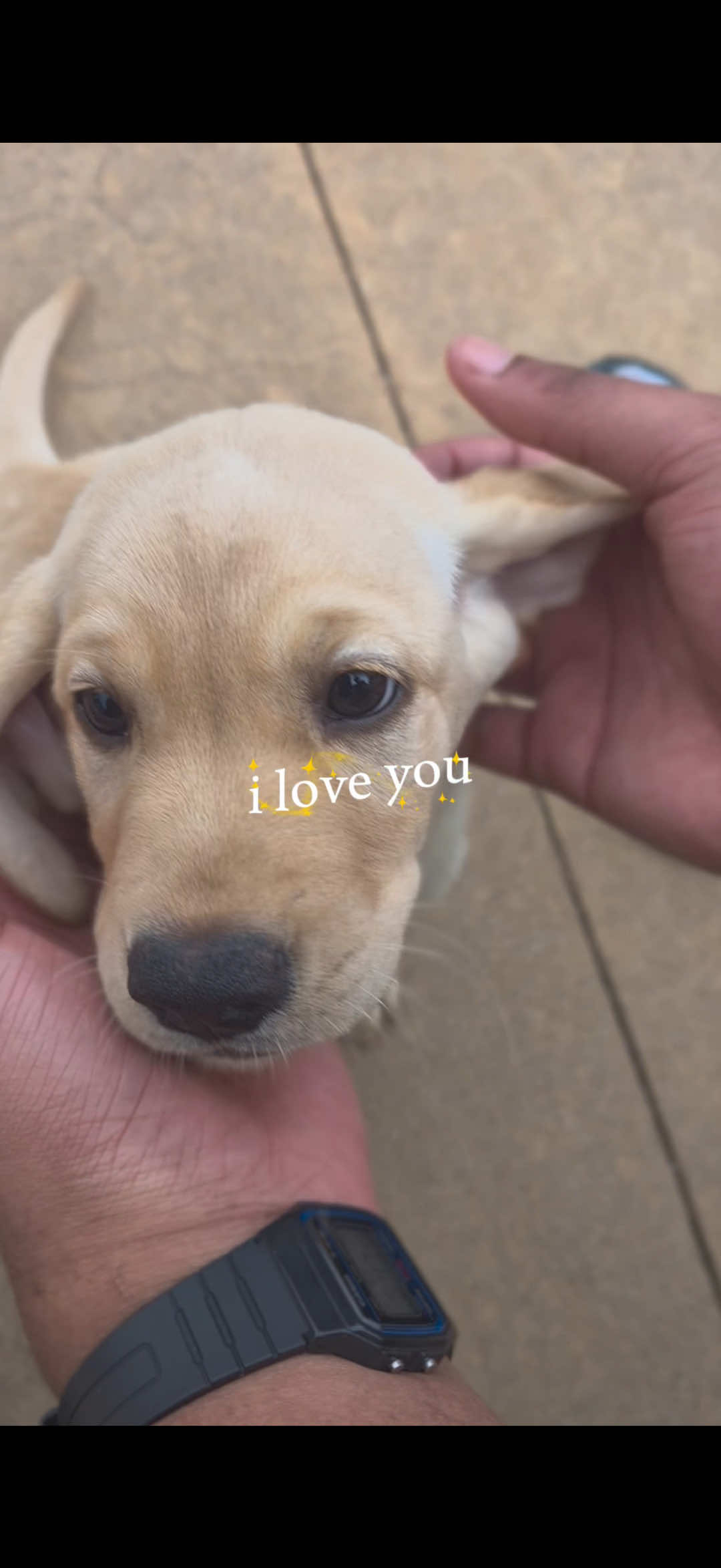 @Petland Oklahoma City