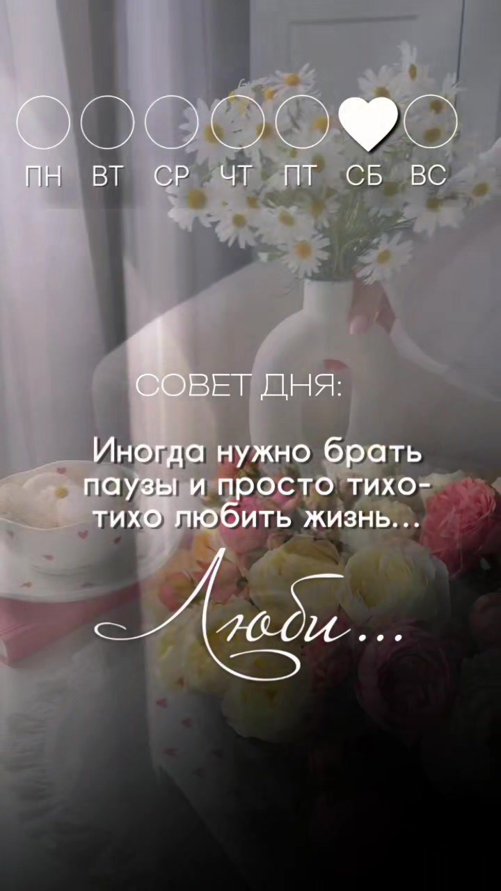 @☆꧁✬◦.𝒱.𝒮𝒽 .✬꧂☆