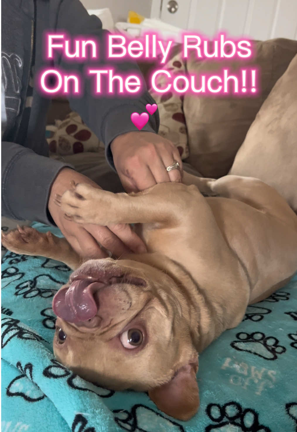 @Peanut the Frenchie 🐾