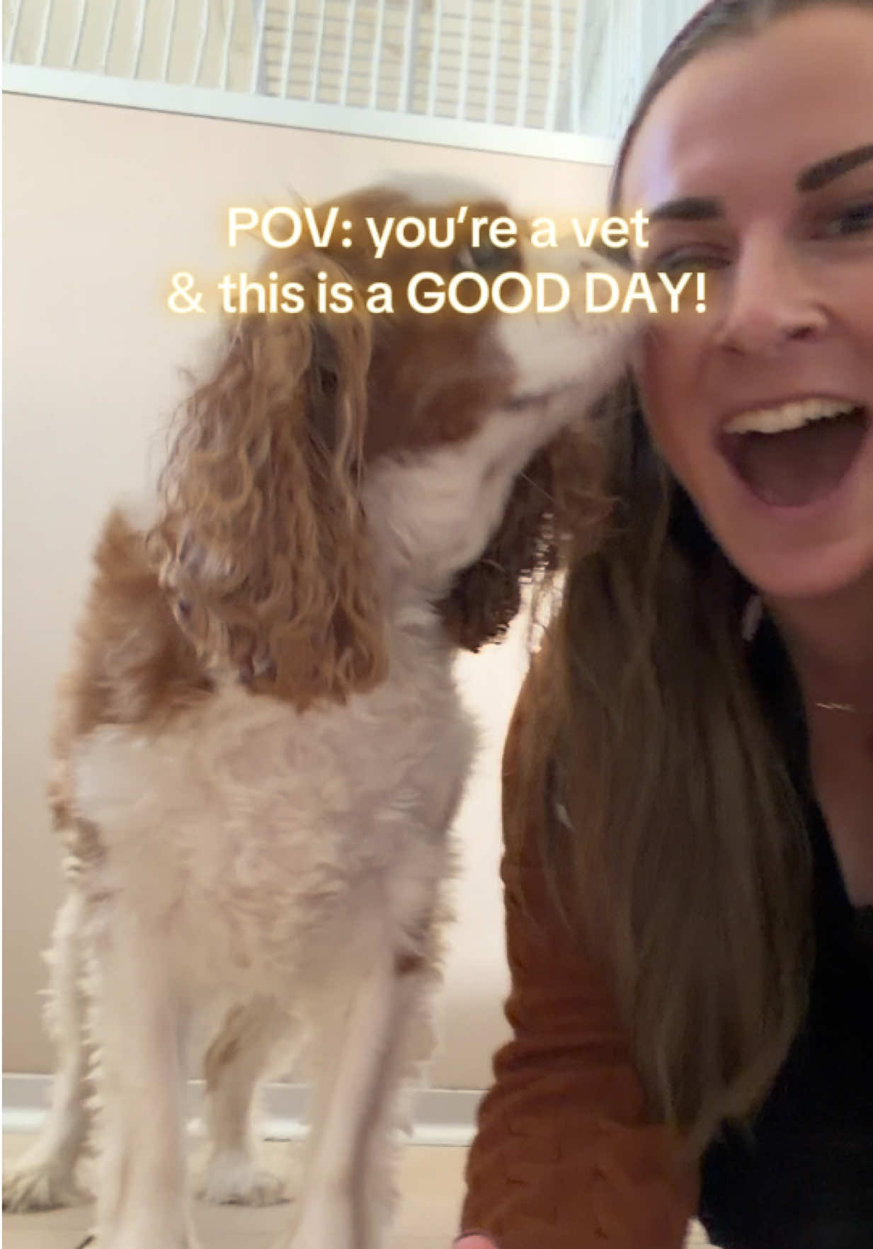 @drcaitlinveterinarian
