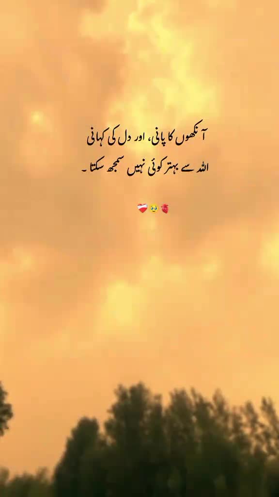 @Tayyab Khan