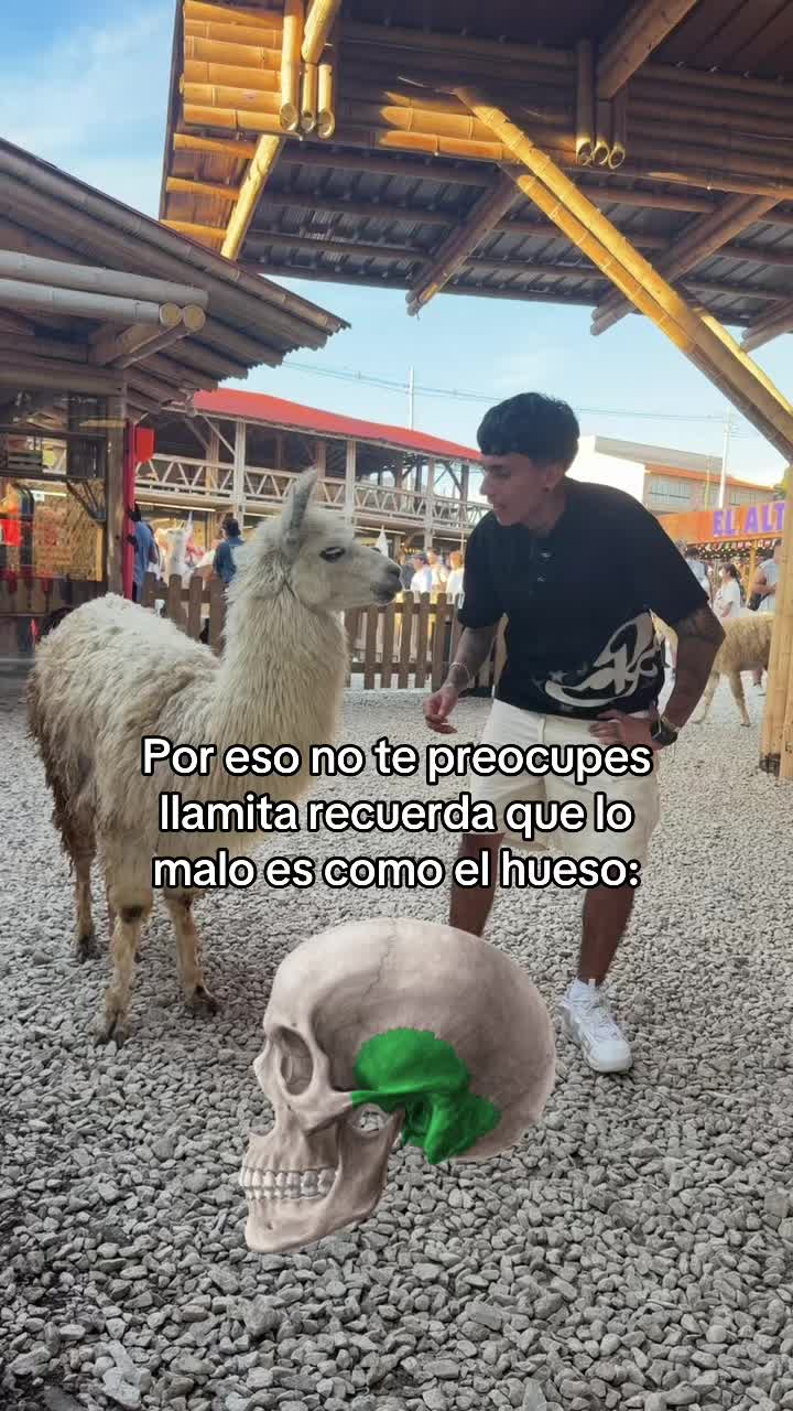 @ENDOBOY