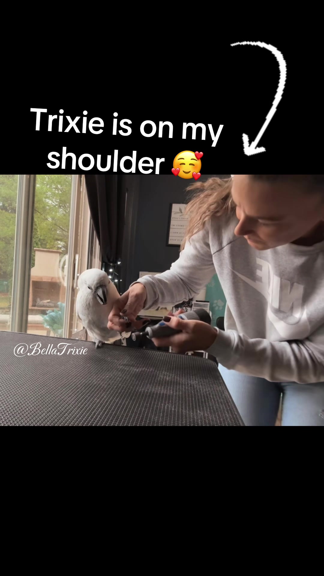 @bella_trixie_official