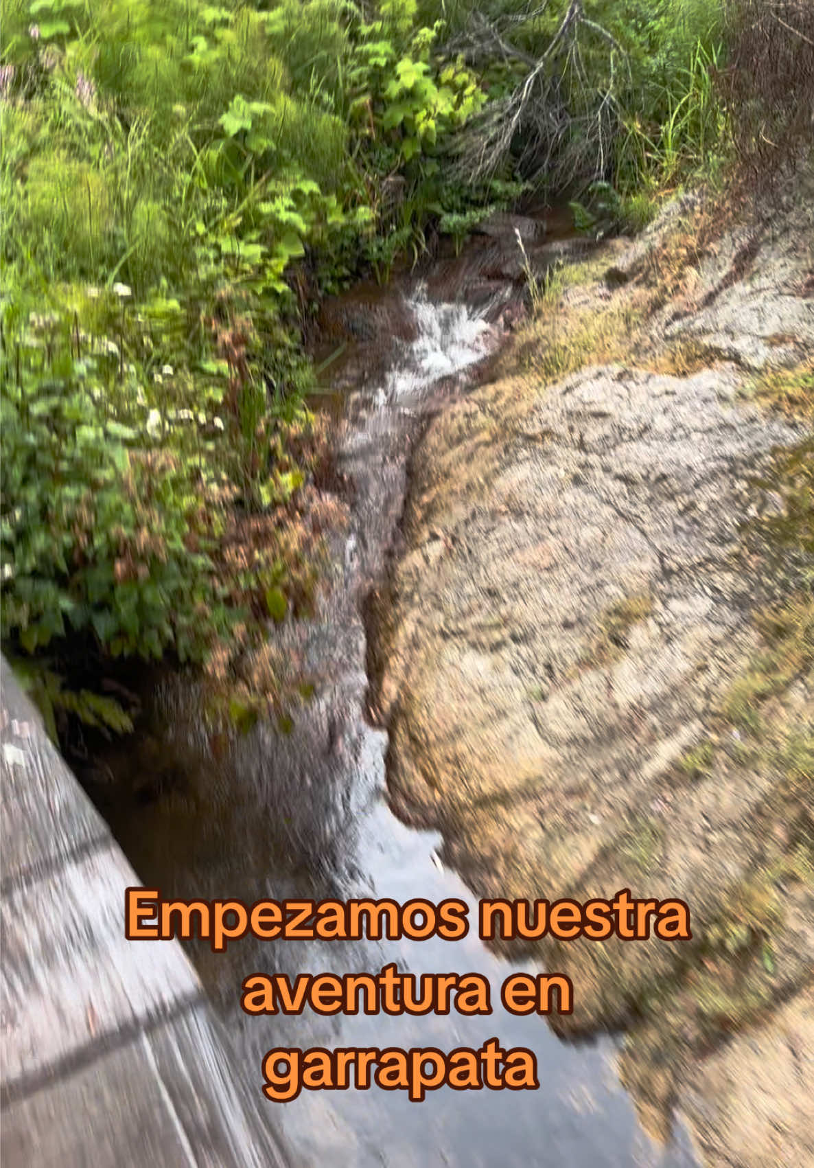 @vickisisepuede