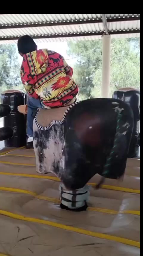 @Melisa Ojeda