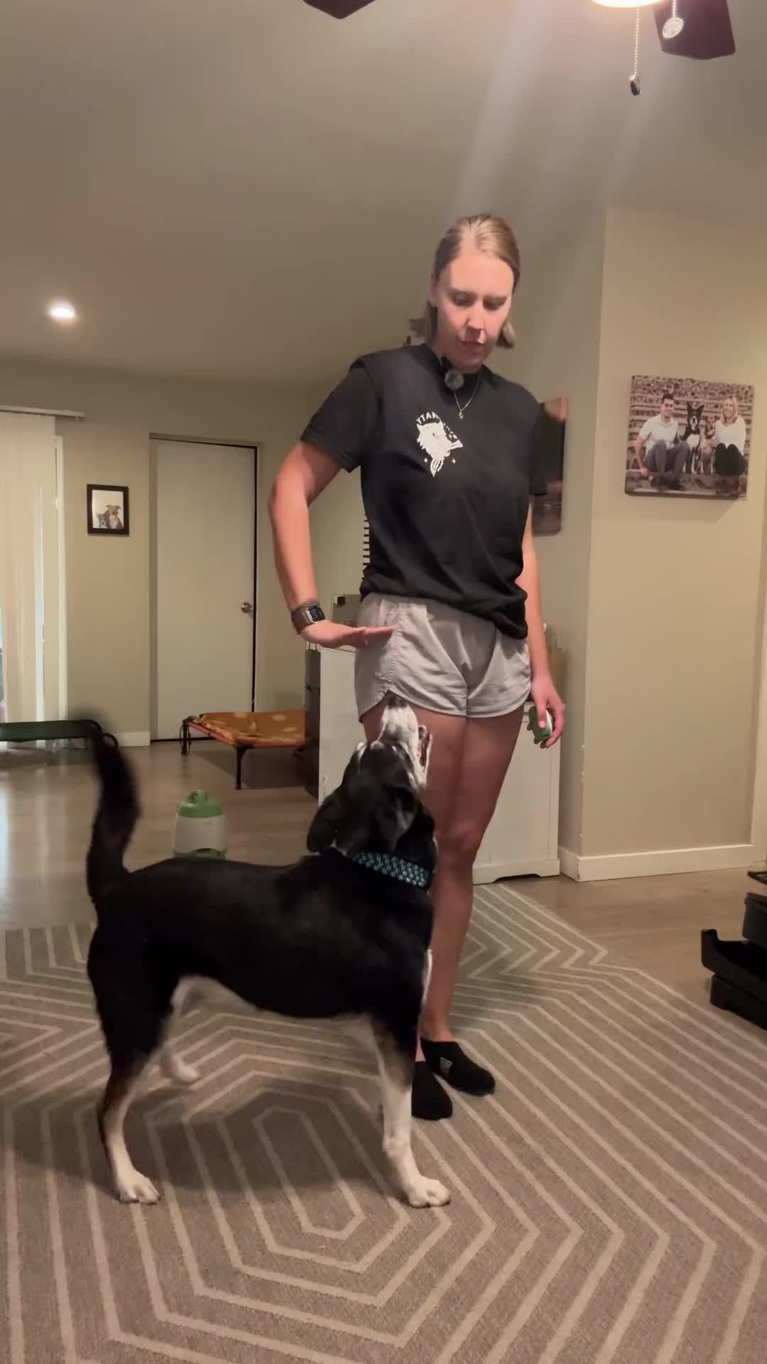@Marissa | Kota & Aspen