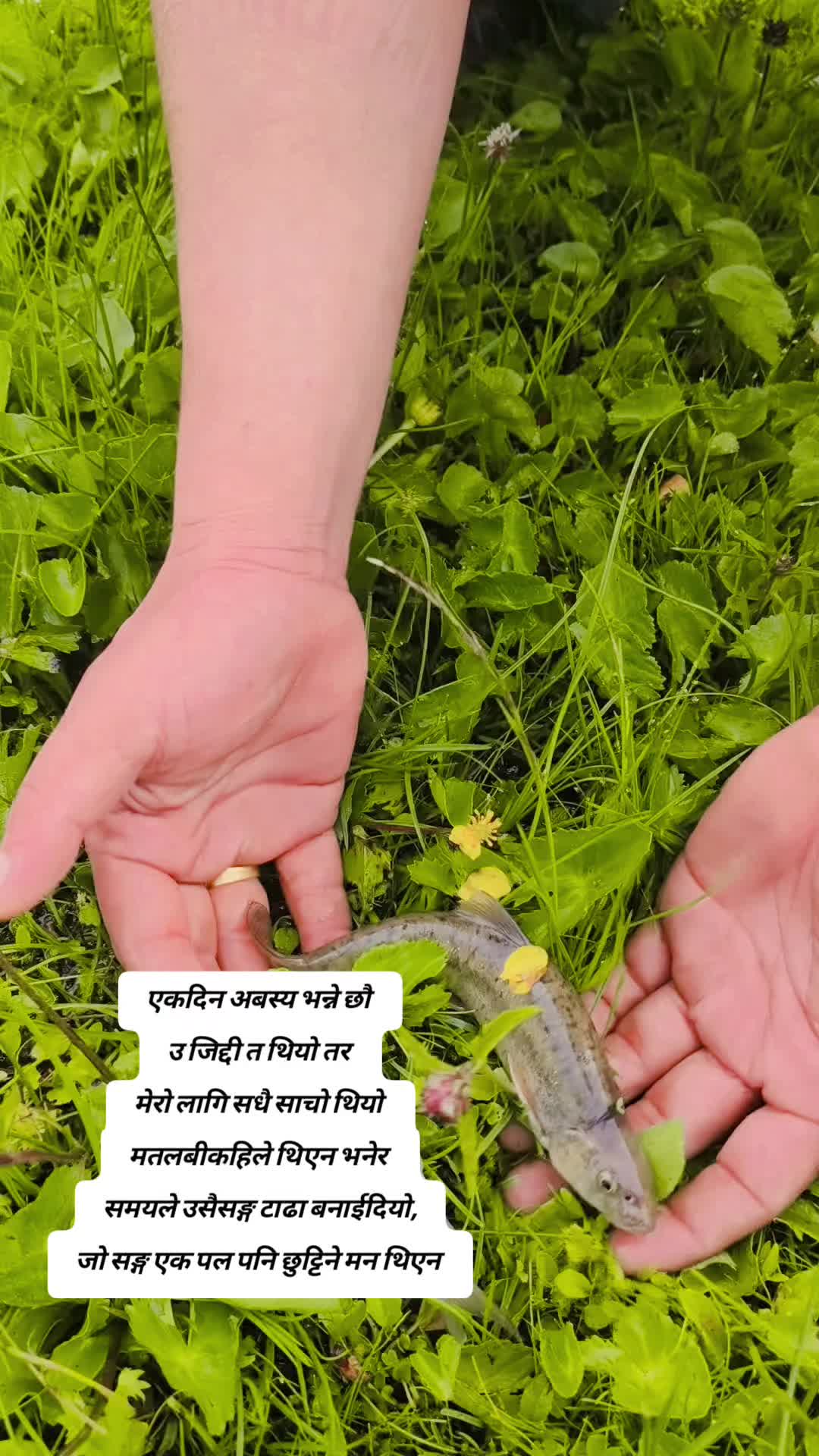 @यात्री