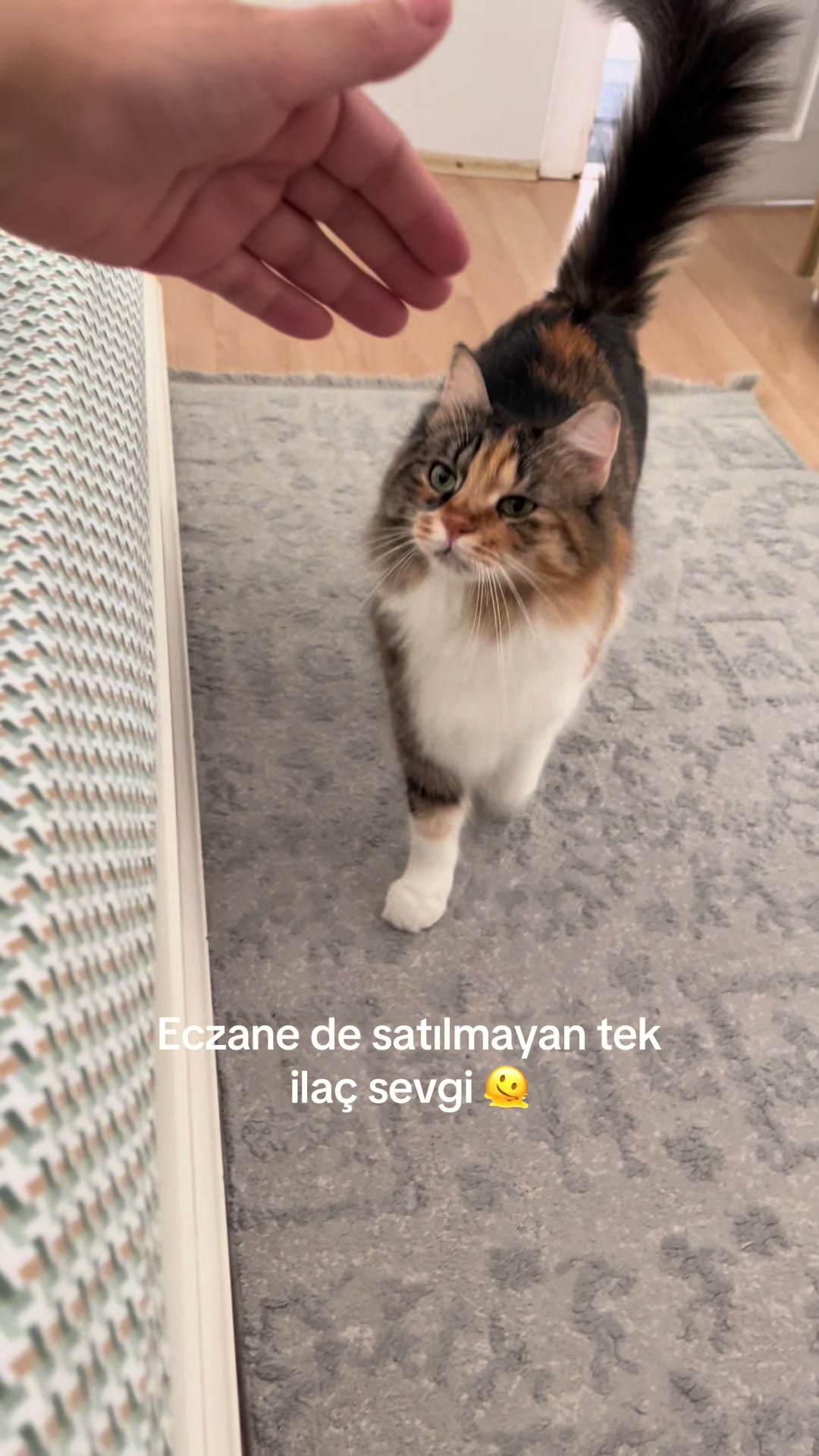 @konusankediminnos