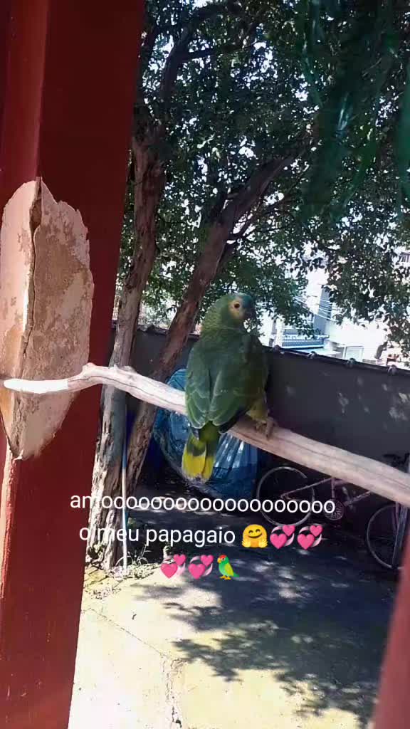 @isabelli 💤💞