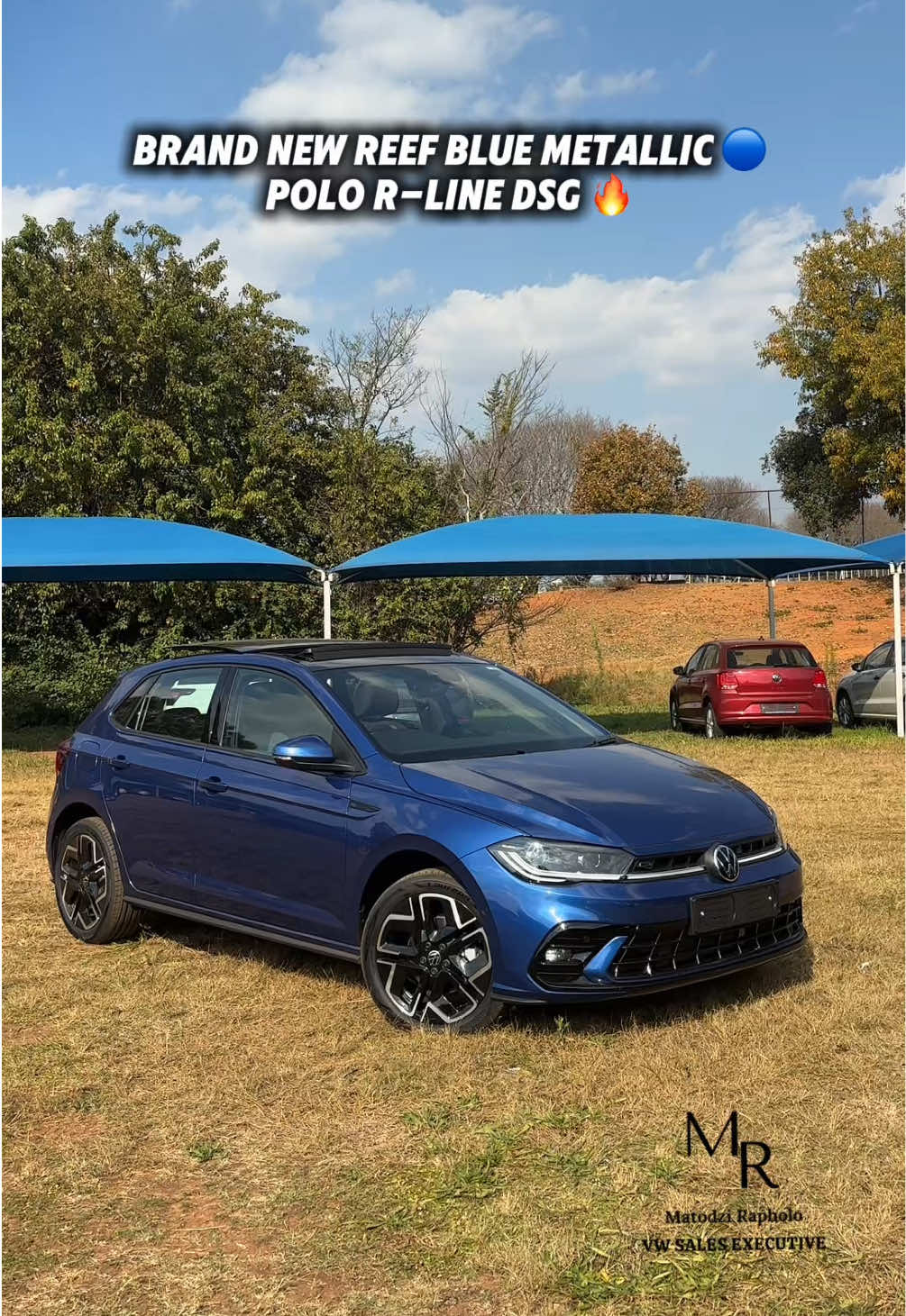 @matodzivw