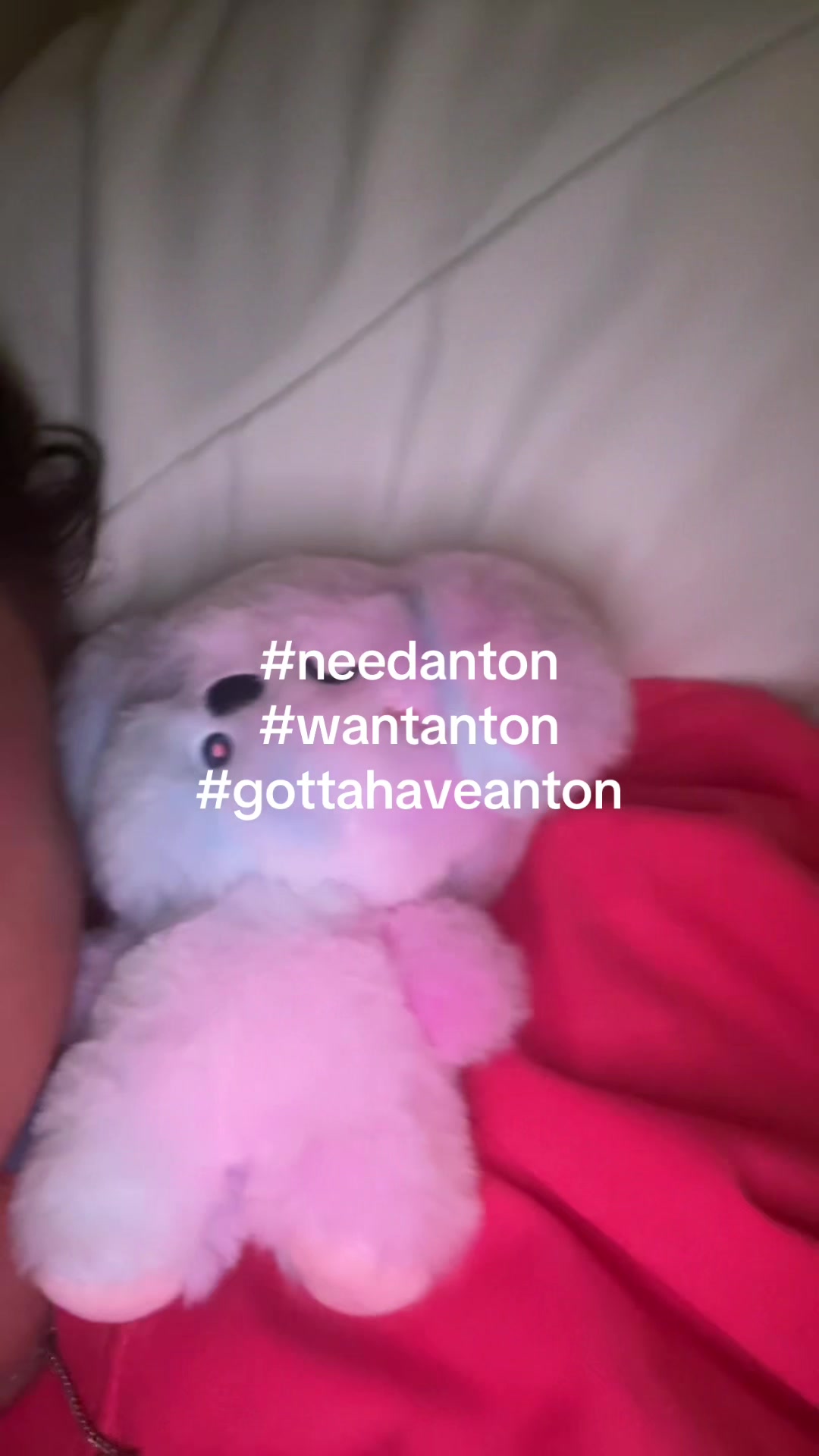 @gabbie ⋆˚꩜｡