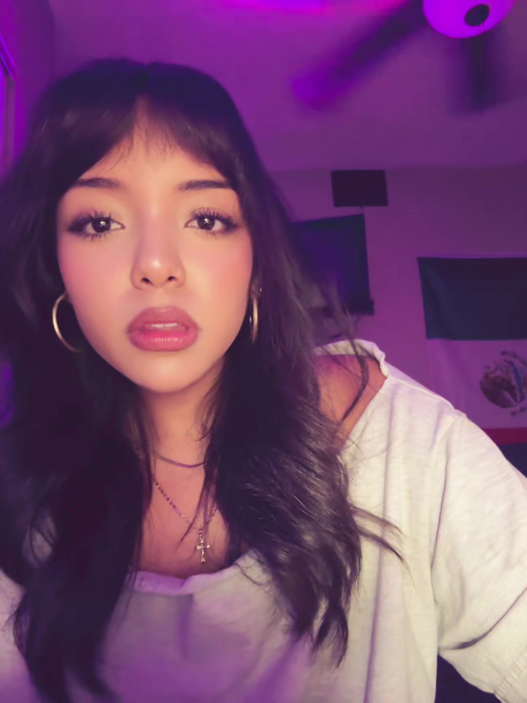 @vane =^•ﻌ•^=